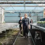 Investigadoras suecas en Chile, Diario La Tribuna