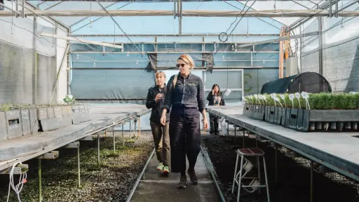 Investigadoras suecas visitan Chile para impulsar nueva etapa en la restauración del Toromiro, árbol extinto en Isla de Pascua