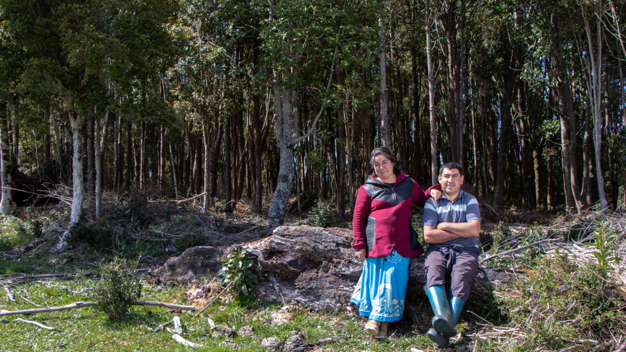 Presidente de CORMA explica el acuerdo que abre los bonos de carbono a las pymes forestales