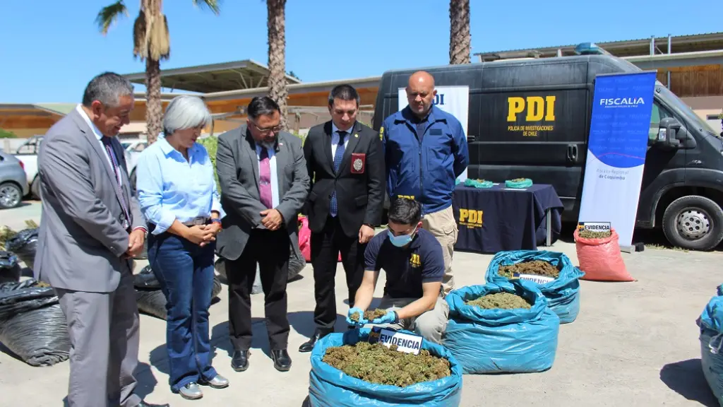 Diligencias forman parte del Programa Combate del Cultivo Ilícito Plan Cannabis, Ministerio Público