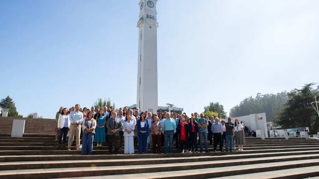 Paulina Rincón, es académica de la Universidad de Concepción, institución en la que ha desarrollado su carrera durante 28 años, desempeñándose en áreas de formación, investigación, gestión y vinculación con el medio.   / Cedida
