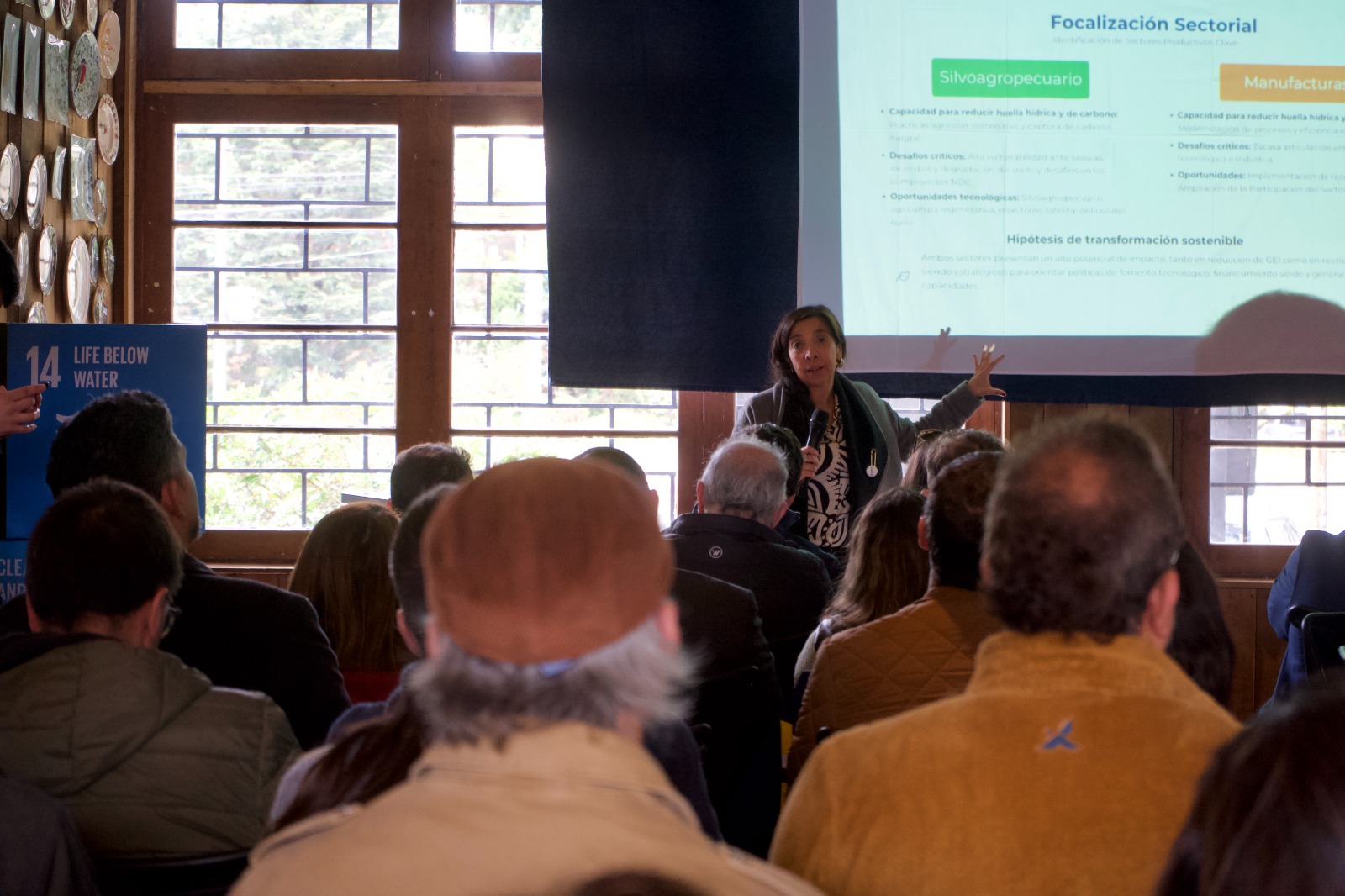 Irina Reyes expone sobre alcances del programa y sus instrumentos de apoyo. / cedida