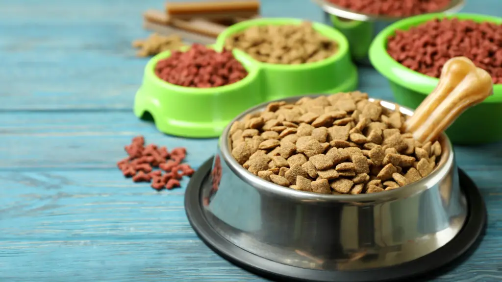 Cuando se cambia alimento, la transición importa. Muchos “fracasos” de dietas proteicas son, en realidad, transiciones bruscas.