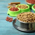 Cuando se cambia alimento, la transición importa. Muchos “fracasos” de dietas proteicas son, en realidad, transiciones bruscas.