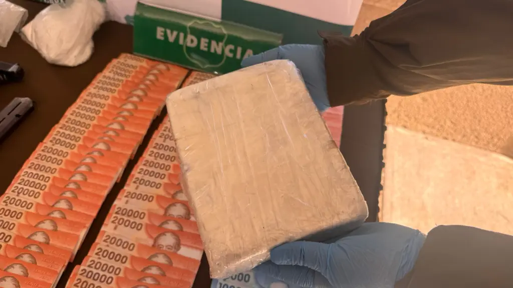 Durante el procedimiento se incautó droga, armamento y elementos utilizados para su procesamiento, Carabineros de Chile