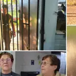 Tras el hecho, el Club del Adulto Mayor “Amanecer” enfrenta la pérdida de insumos que eran clave para una actividad de recaudación organizada por sus socios., Municipalidad de Santa Bárbara