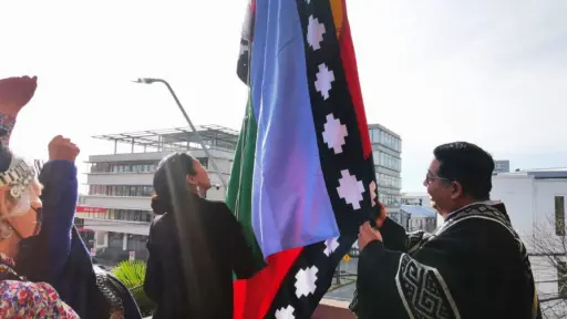 Ex delegada Paulina Purrán cuestiona retiro de bandera mapuche y pide continuidad en políticas de reconocimiento