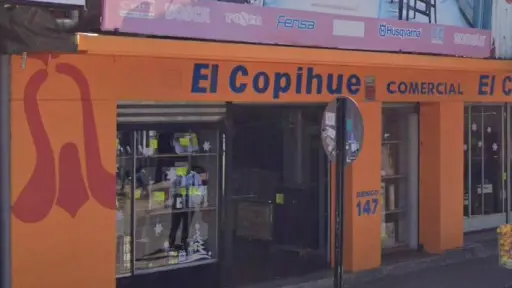 Tratamos de alargar lo más que se pudo la agonía: dueño explica cierre de El Copihue tras 46 años