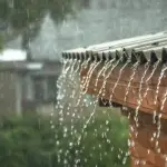 Lluvias y viento de hasta 90 km/h marcarán el paso de sistemas frontales en Los Ángeles, contexto