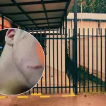 Con resguardo de Carabineros queda liceo tras ataque con arma blanca a joven de 14 años en Tucapel, La Tribuna