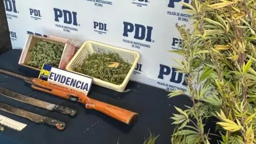 Incautan marihuana avaluada en $3 millones en Temuco: hay dos personas detenidas 