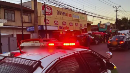 Hace meses que no hay carabineros: Dirigente de la Vega de Los Ángeles alerta falta de presencia policial