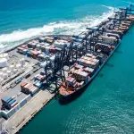 La implementación del protocolo 'Systems Approach' busca eliminar la fumigación de la fruta y mejorar su competitividad en el mercado de Estados Unidos.