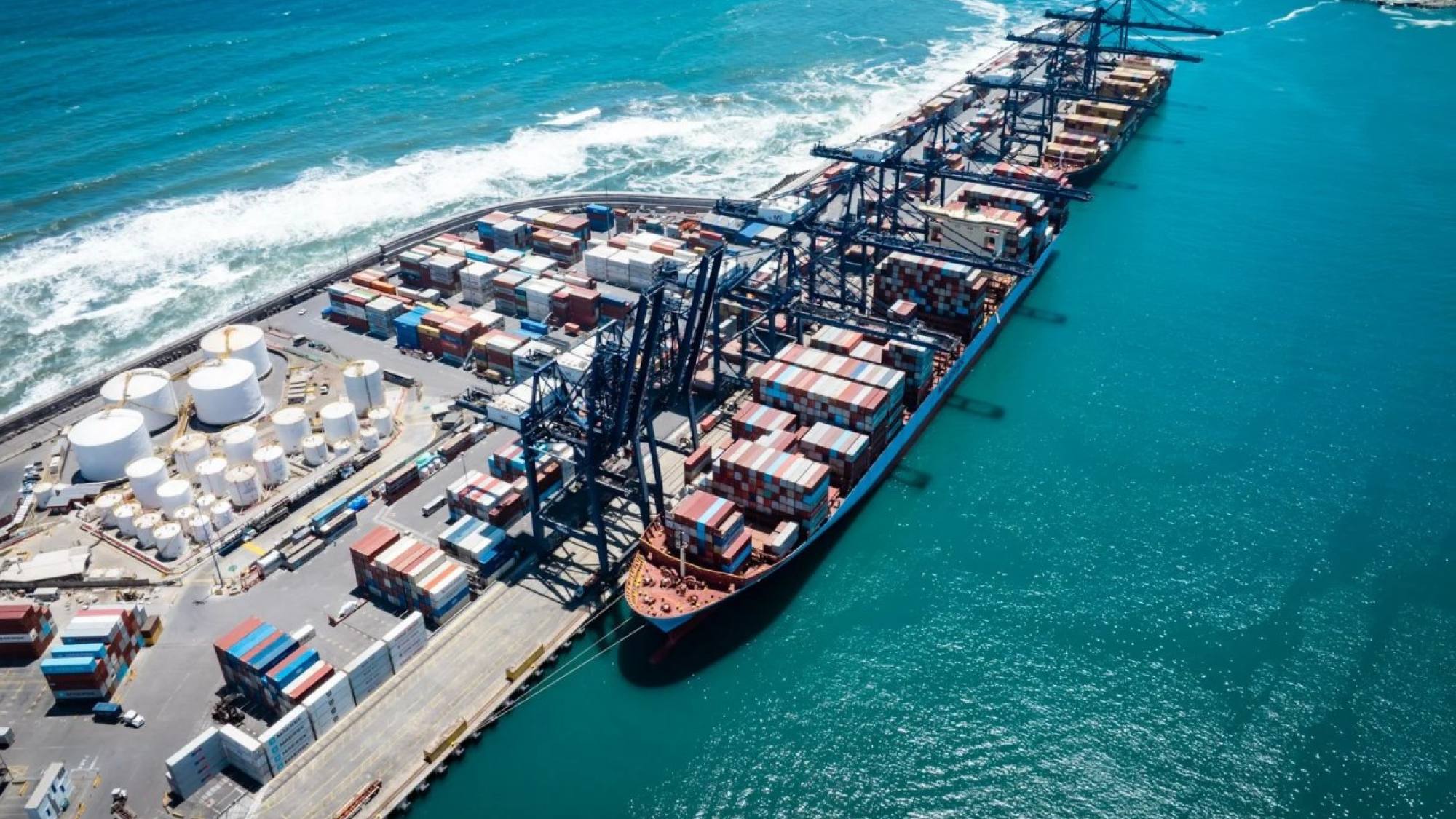 Fedefruta define acciones para fortalecer competitividad y resguardar sanidad