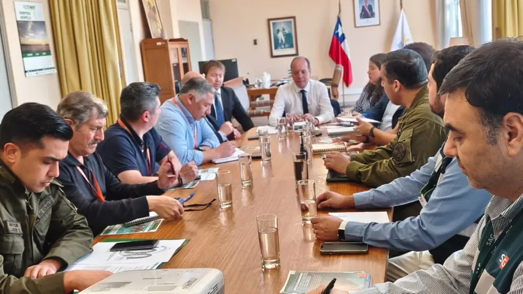 Plan contra el comercio ilegal, DPP