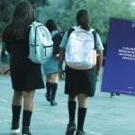 La iniciativa apunta a fortalecer la prevención, pero también a entregar herramientas operativas para actuar con rapidez en escenarios de riesgo., contexto - Gobierno de Chile