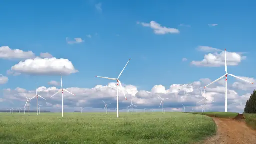 Parque Eólico Los Junquillos: inversión de US\\$570 millones busca impulsar empleo y transición energética en Biobío