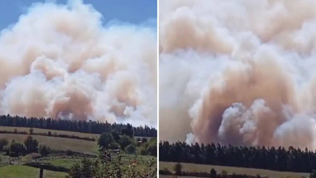 AHORA: Reportan incendio forestal en sector Santa Fe de Los Ángeles, Santa Fe Informa