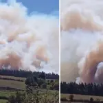 AHORA: Reportan incendio forestal en sector Santa Fe de Los Ángeles, Santa Fe Informa