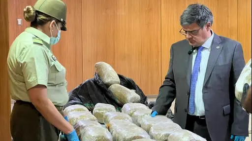 Operativo deja más de 350 kilos de marihuana incautados al interior de vivienda en Calama