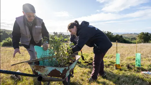 Fundación Reforestemos abre convocatoria para restaurar bosque nativo en predios privados