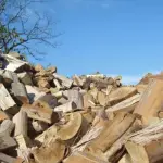 Comerciantes descartan alza de astillón , contexto