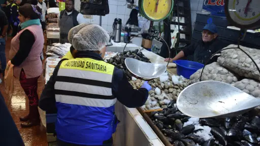 Refuerzan fiscalizaciones sanitarias y controles viales por Semana Santa en Biobío