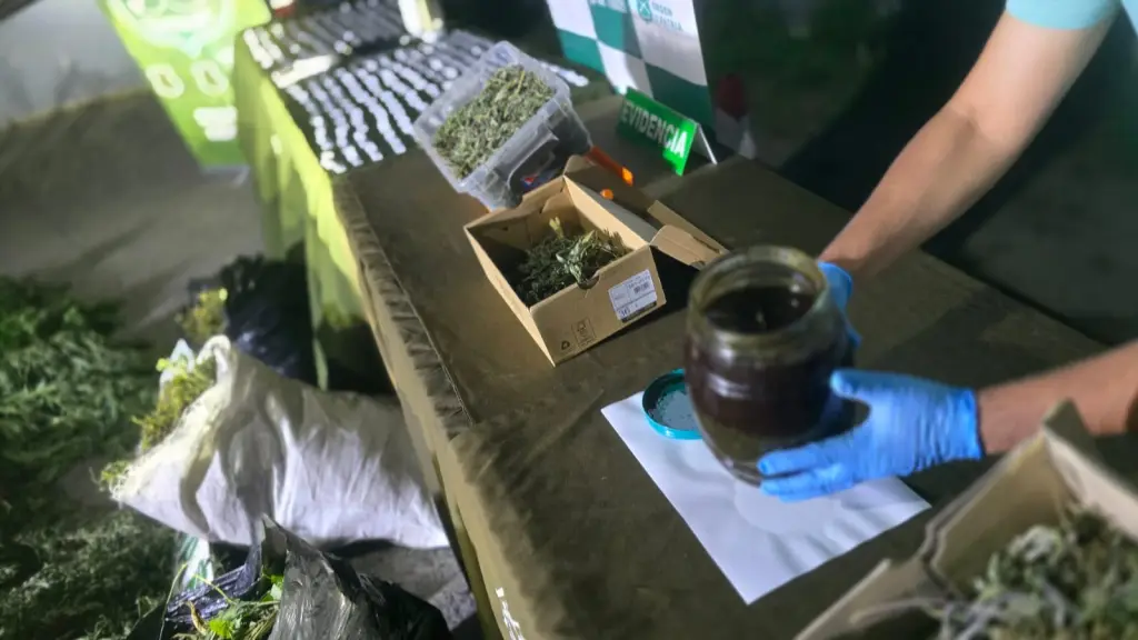 Operativo O.S.7 realizado en Talcahuano y Coronel, Carabineros de Chile