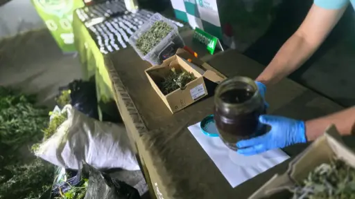Cinco detenidos y más de 20 mil dosis incautadas deja operativo antidrogas en Talcahuano y Coronel