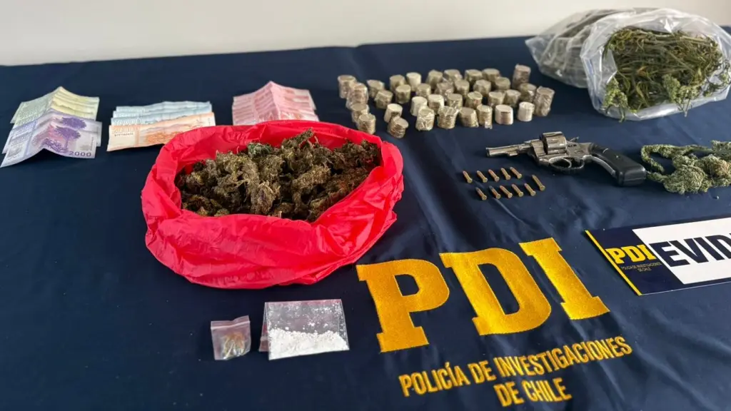 Droga y diversas especies fueron incautadas en un operativo policial, PDI Araucanía