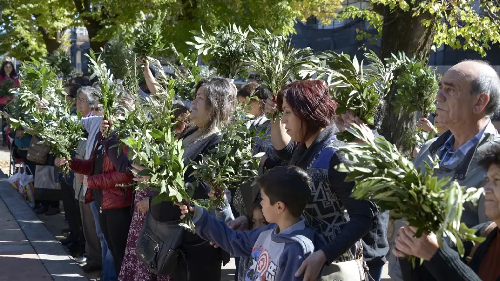 Bendición de Ramos, Archivo La Tribuna