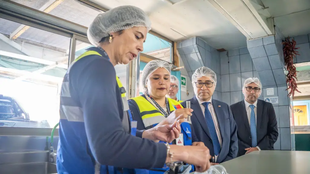 Fiscalización de pescados y mariscos en el marco de Semana Santa, Seremi de Salud Biobío