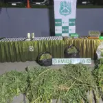 Operativo O.S.7 realizado en Talcahuano y Coronel / Carabineros de Chile, Carabineros de Chile 