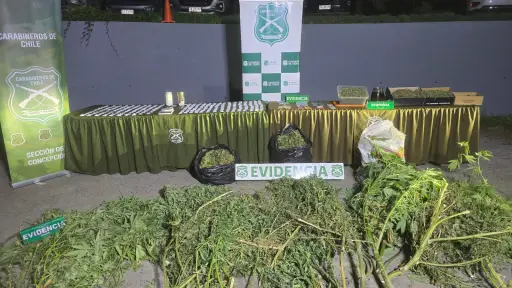 Cinco detenidos y más de 20 mil dosis incautadas deja operativo antidrogas en Talcahuano y Coronel