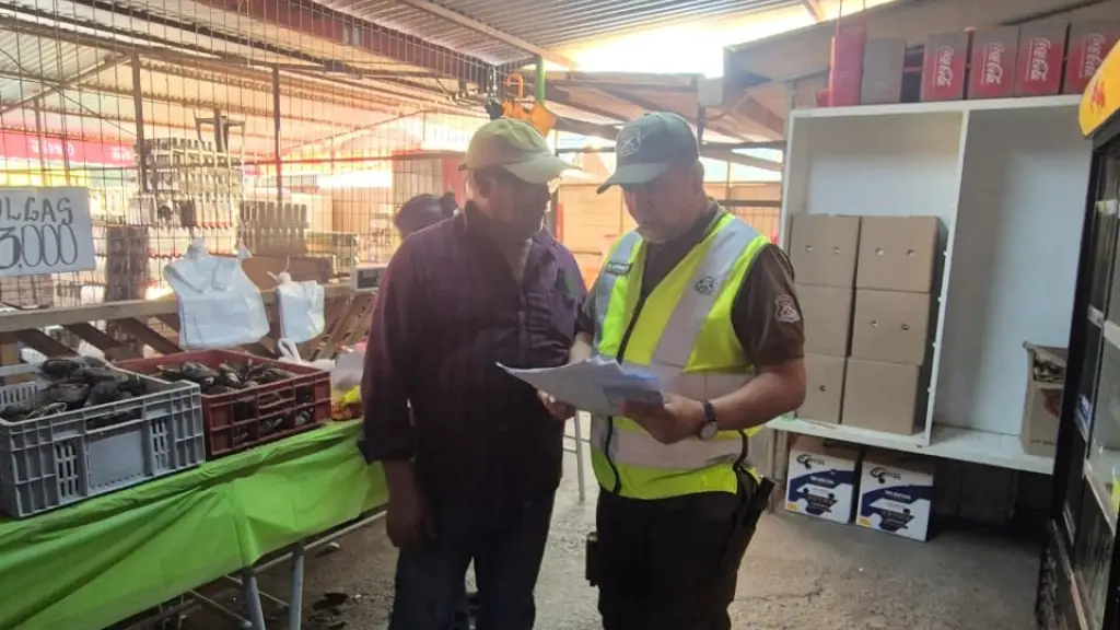 Fiscalización de productos del mar, por parte de Carabineros de Antuco, Carabineros de Chile 