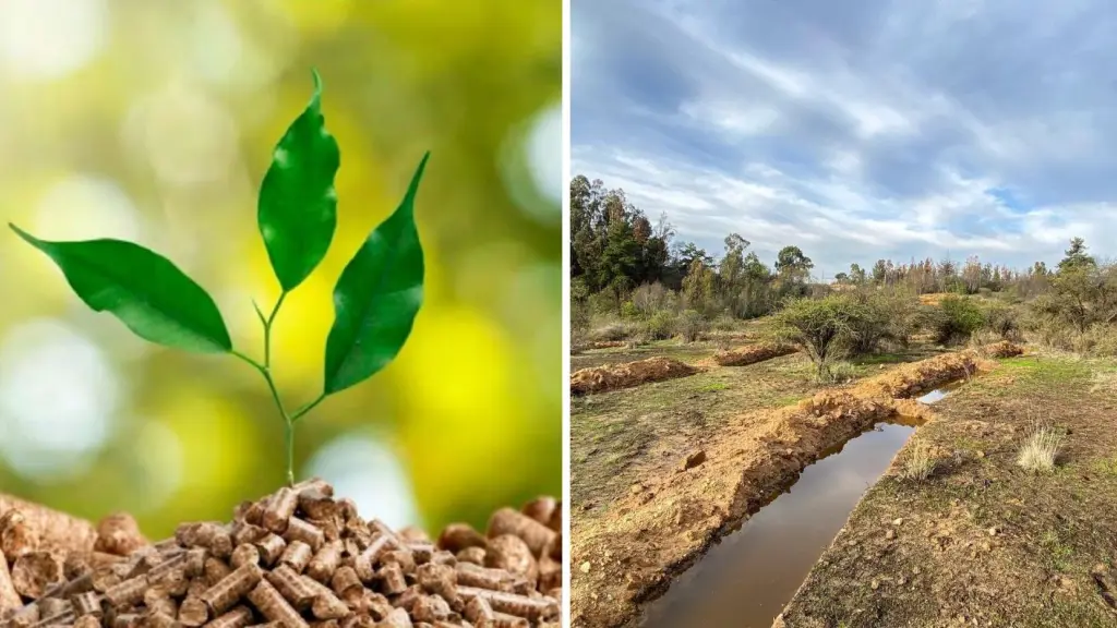 La implementación de cubiertas vegetales en zonas con pendientes permite que el agua de lluvia infiltre hacia las napas subterráneas situadas a más de 30 metros de profundidad, evitando la erosión del suelo y la pérdida del recurso hídrico por escorrentía superficial.