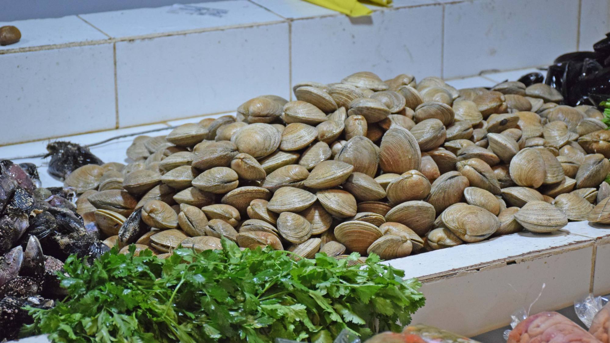 Escasez y alza de precios marcan abastecimiento del Terminal Pesquero de Los Ángeles