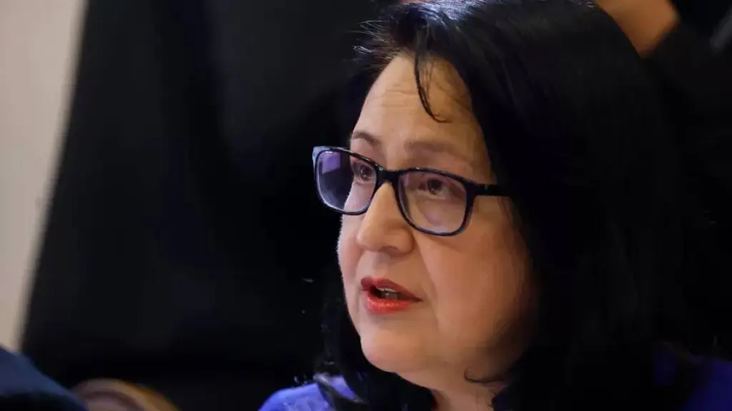 La contralora reconoció que el volumen de información analizada podría dar paso a ciertos márgenes de error, aunque advirtió que es esperable detectar inconsistencias., La Nación