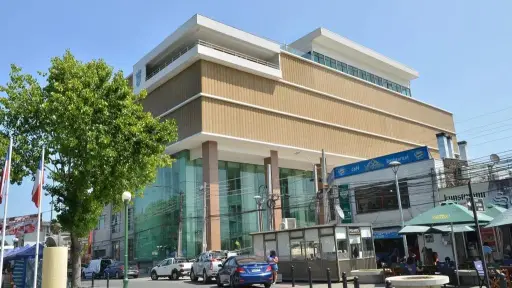 19 funcionarios de Coronel son despedidos por viajar fuera de Chile con licencia médica