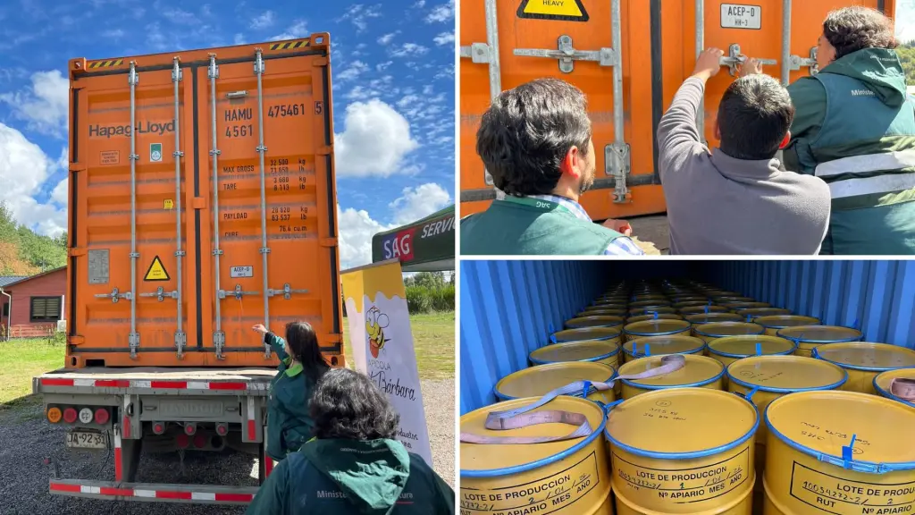 Cargamento de 22 toneladas de miel, producido por siete apicultores de Santa Bárbara, fue certificado por el SAG para su envío a Alemania., SAG Biobío