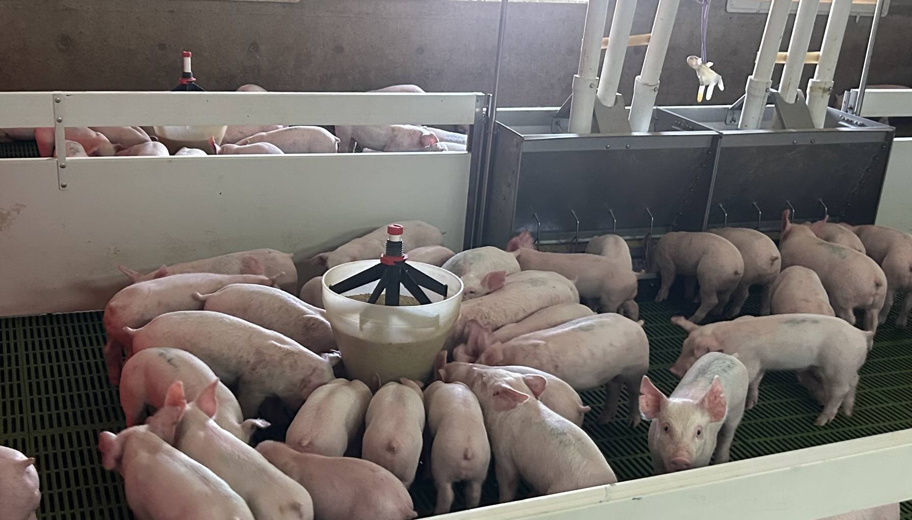 Fotografía de contexto. / Infocampo