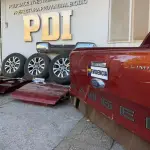 Especies recuperadas por detectives en Mulchén, PDI Biobío