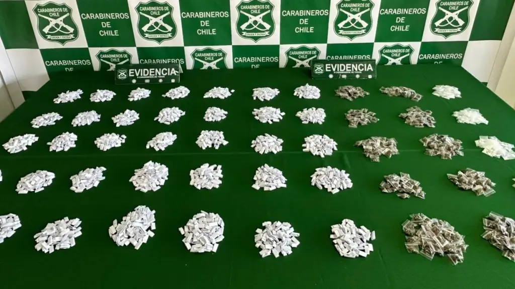 Durante la fiscalización, Carabineros incautó más de 1 kilo de droga, Carabineros de Chile