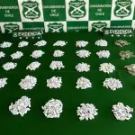 Durante la fiscalización, Carabineros incautó más de 1 kilo de droga, Carabineros de Chile
