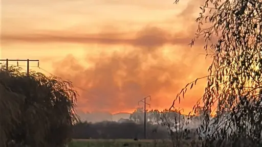 Incendio afecta a predio con pastizales al sur de Los Ángeles