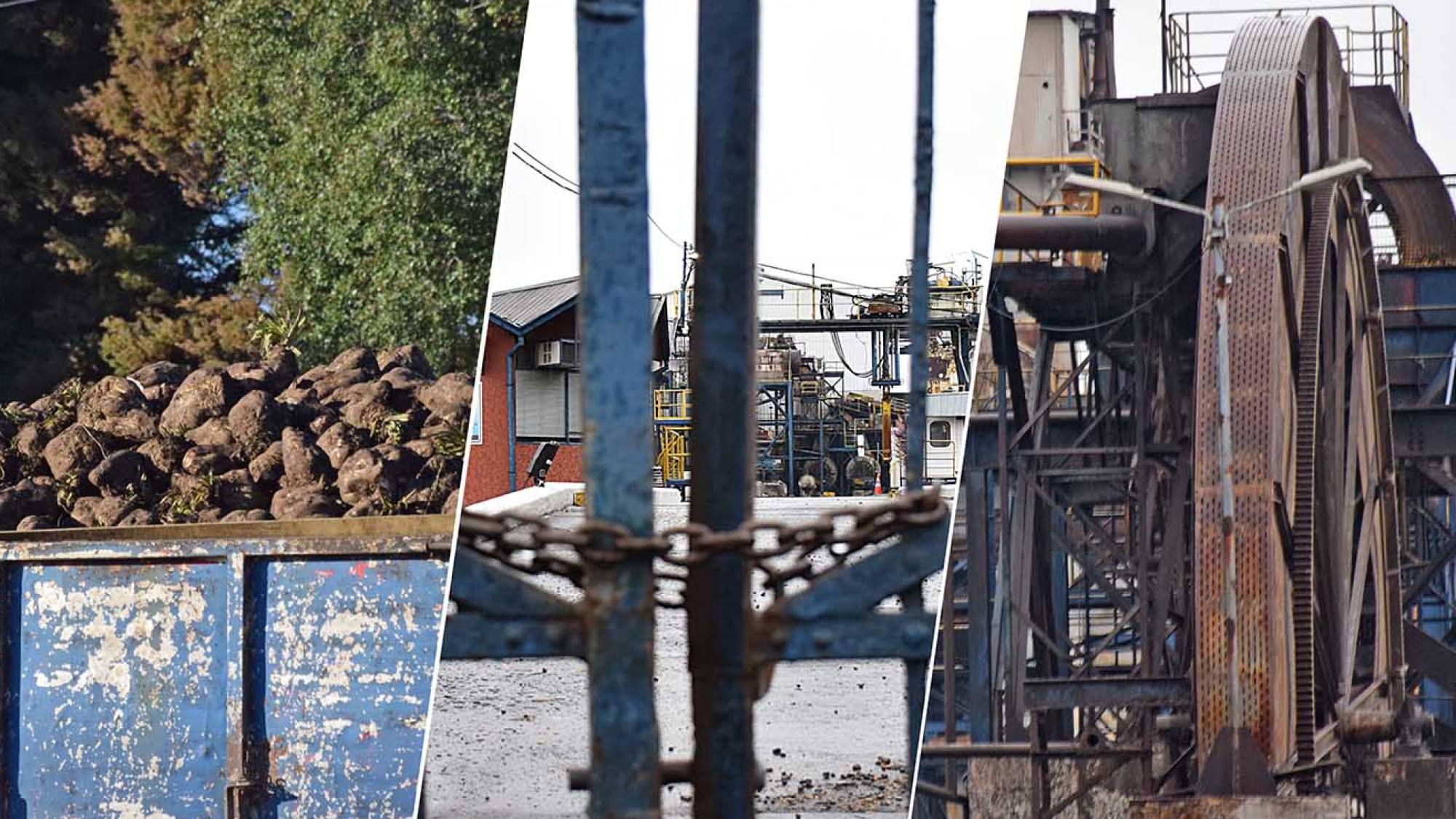 El giro de Iansa y sus efectos en el agro del centro sur