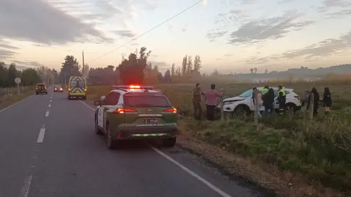 Conductora impacta vehículo contra caballo cuando se dirigía a su trabajo en Los Ángeles