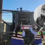 La Fiscalía de Arauco-Curanilahue instruyó diligencias a la PDI por el fallecimiento de un menor de 8 años en Curanilahue, vinculado al consumo de carne contaminada con Escherichia coli., Redes sociales