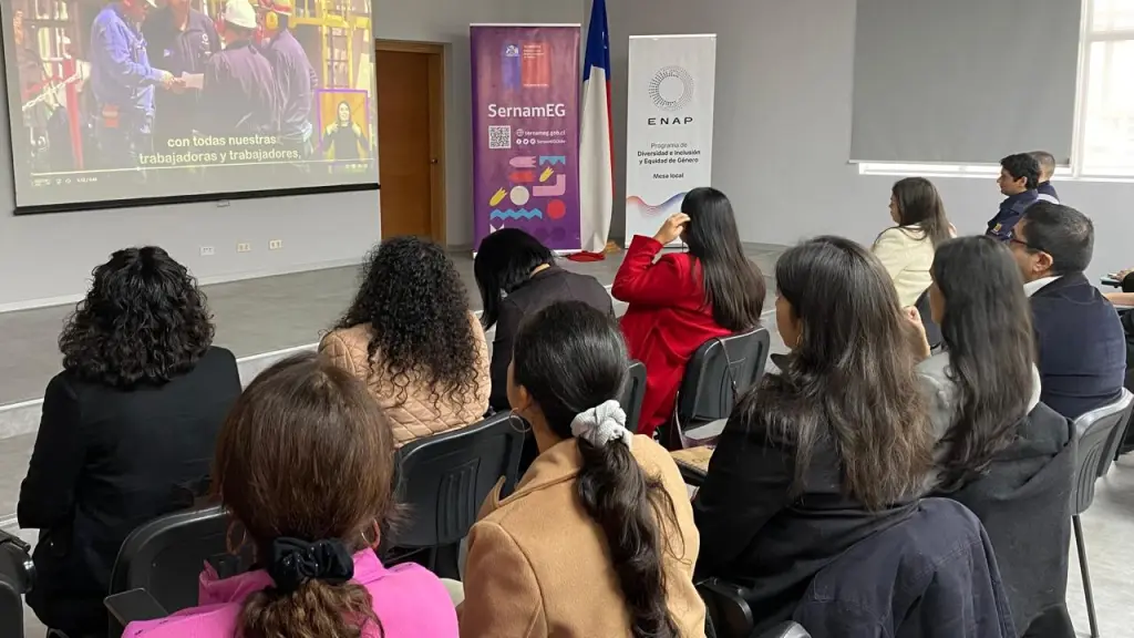 Mesa Público Privada de Buenas Prácticas Laborales, SernamEG