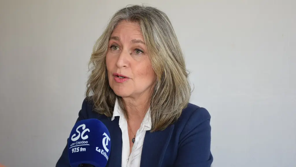 Jacqueline Sepúlveda, rectora electa de la Universidad de Concepción, durante la entrevista con Diario La Tribuna en el Campus Los Ángeles, donde abordó los ejes de su futura administración y el desarrollo institucional., Fredy Muñoz | La Tribuna